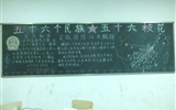 汽車工程系開展第十二個(gè)民族團(tuán)結(jié)進(jìn)步宣傳月主題班會活動