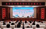 武威職業(yè)技術(shù)大學舉行2025年暑期“三下鄉(xiāng)”社會實踐活動出征儀式